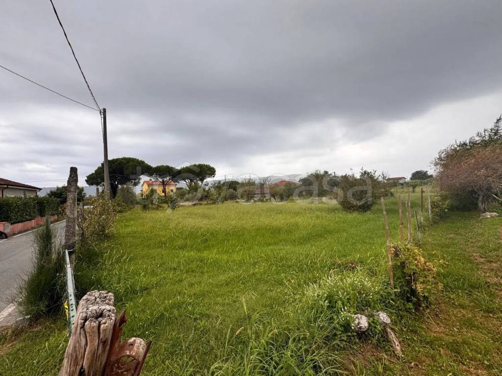 immagine annuncio 4 di 12