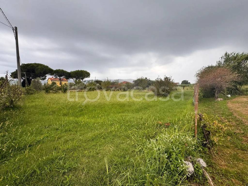 immagine annuncio 5 di 12