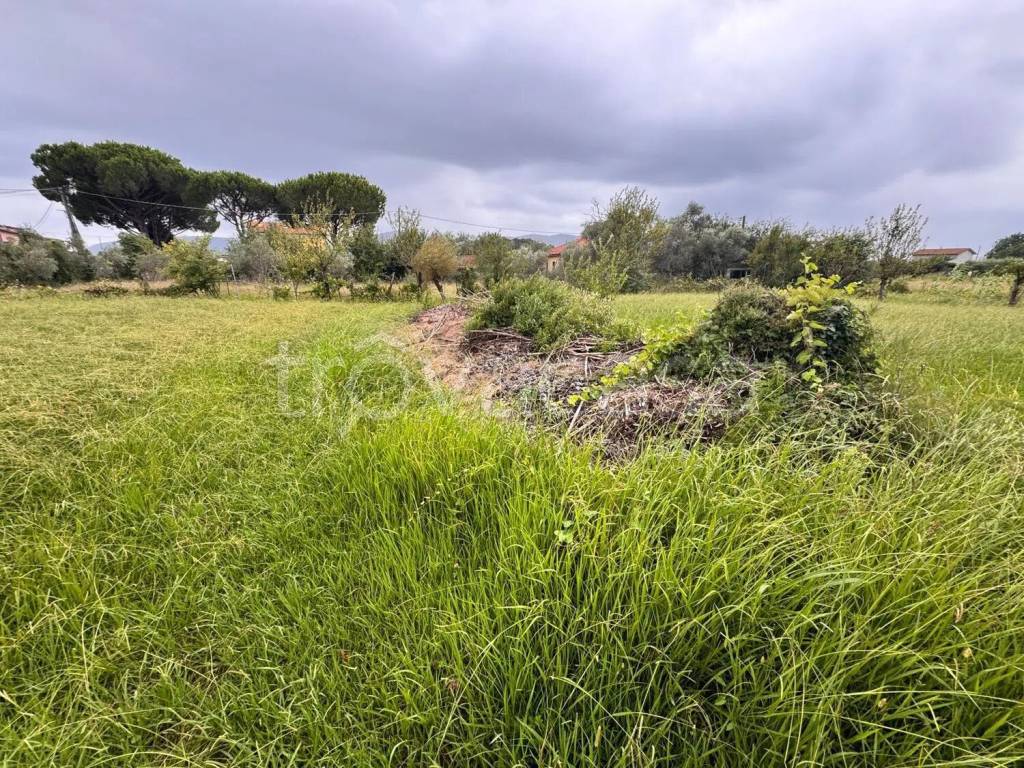 immagine annuncio 11 di 12