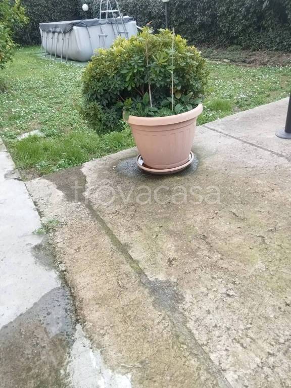 immagine annuncio 1 di 14