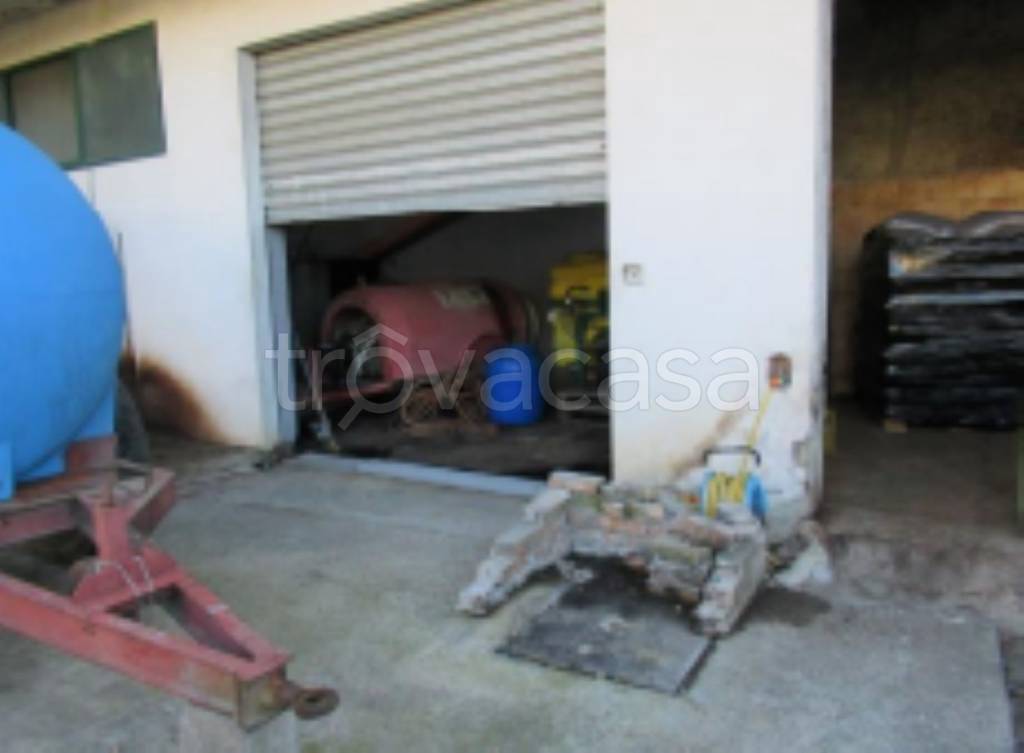 immagine annuncio 6 di 12