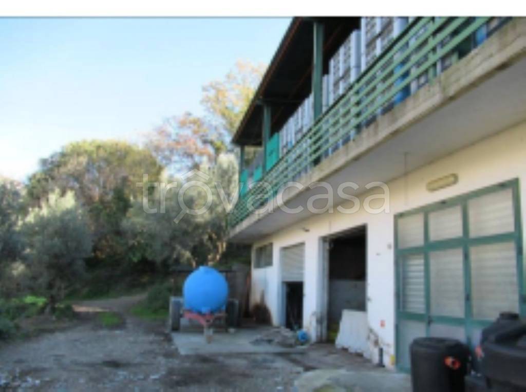 immagine annuncio 7 di 12