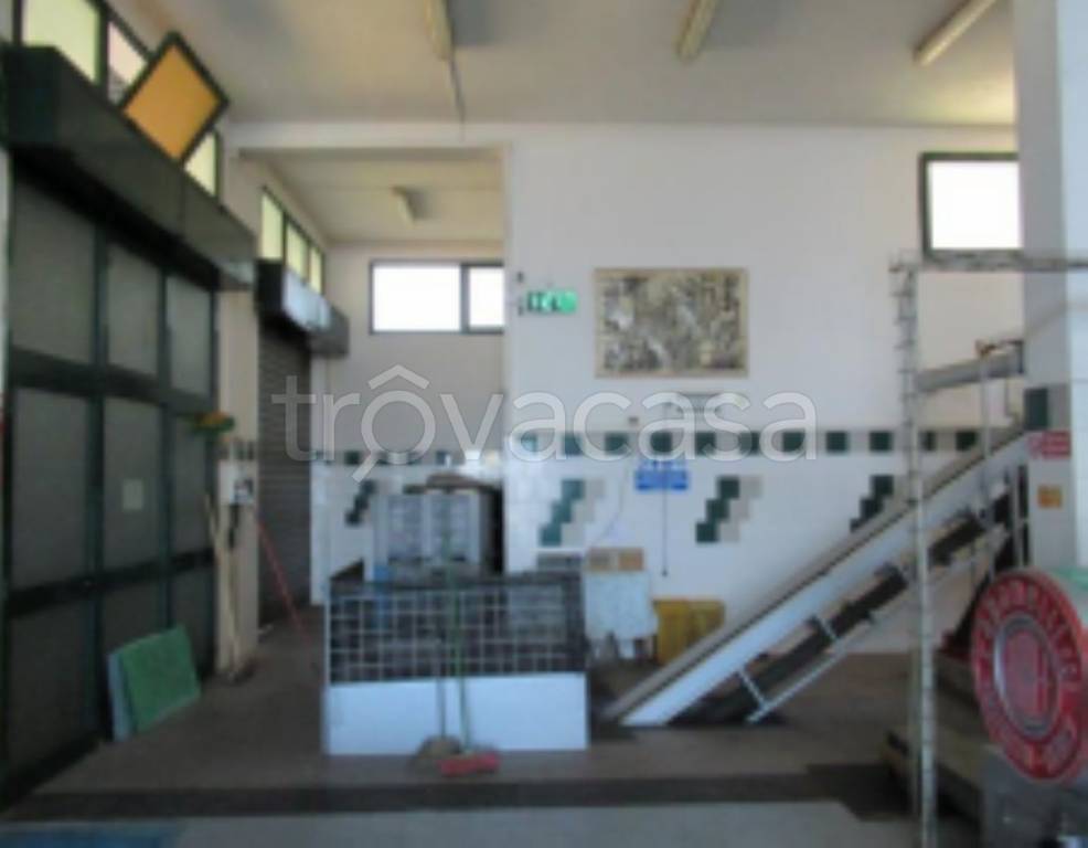 immagine annuncio 8 di 12