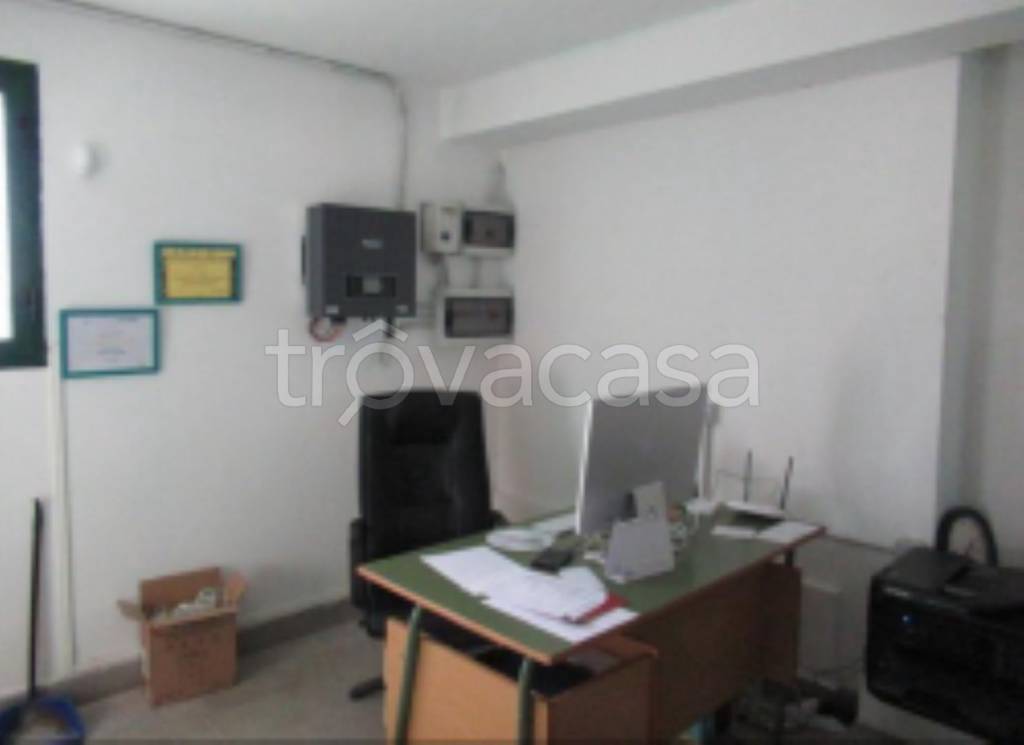 immagine annuncio 11 di 12