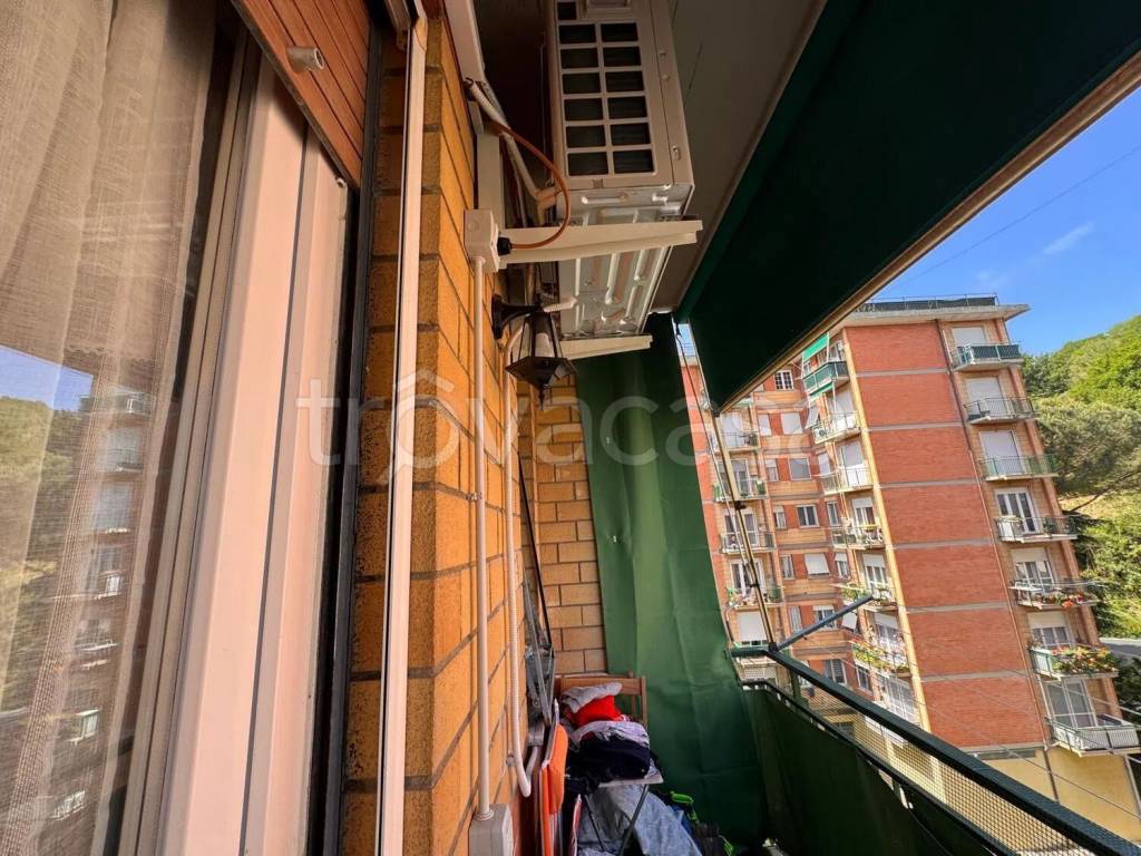 immagine annuncio 6 di 8