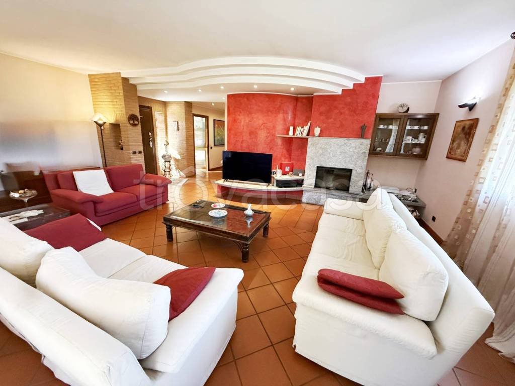 immagine annuncio 9 di 15