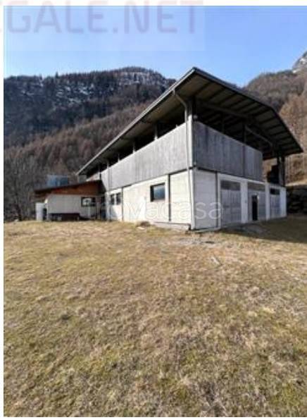 immagine annuncio 2 di 8