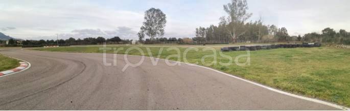 immagine annuncio 6 di 11