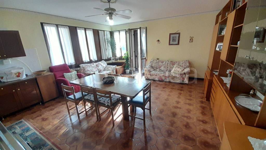 immagine annuncio 3 di 14