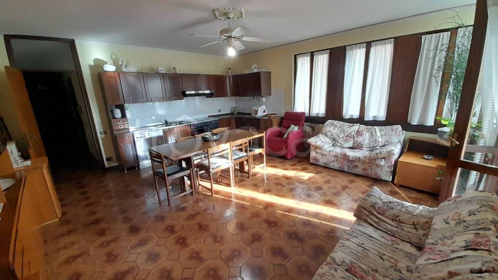 immagine annuncio 4 di 14