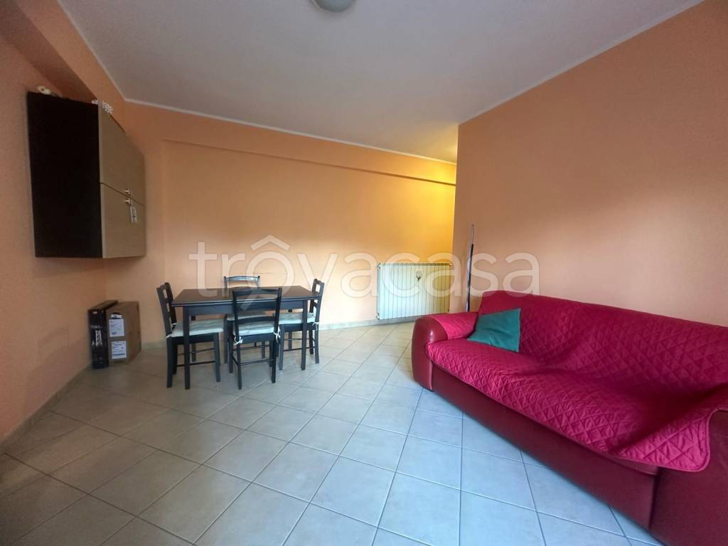 immagine annuncio 6 di 11