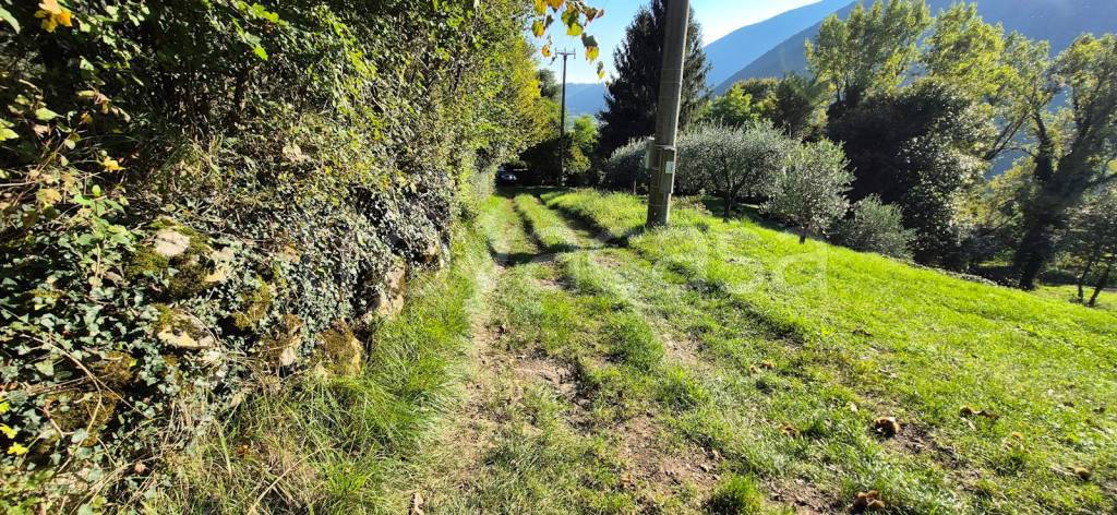 immagine annuncio 5 di 6