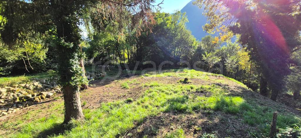 immagine annuncio 3 di 6