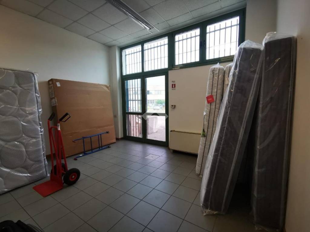 immagine annuncio 9 di 15