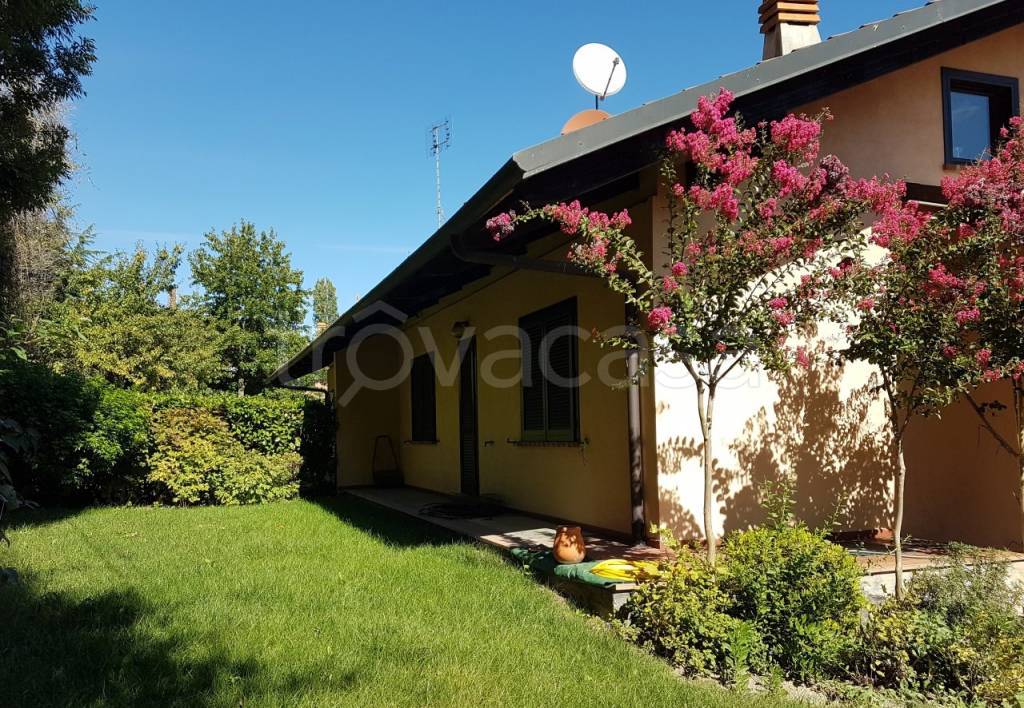 immagine annuncio 1 di 15