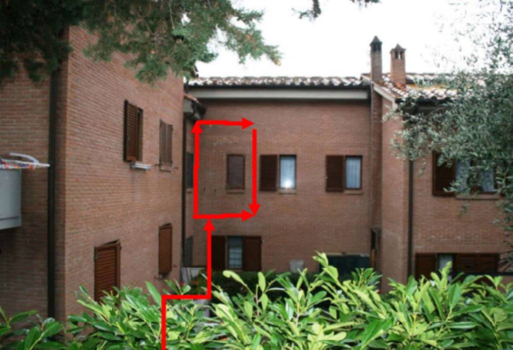 immagine annuncio 7 di 11