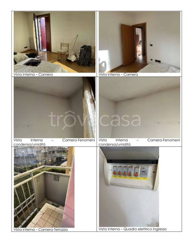 immagine annuncio 5 di 8