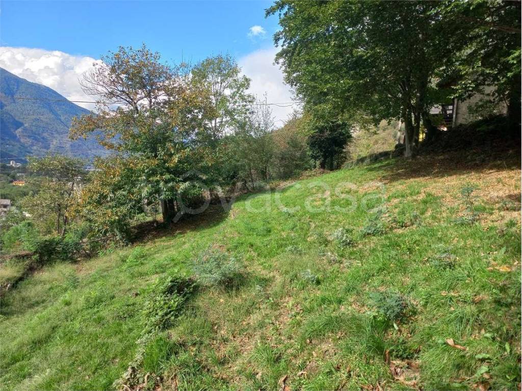 immagine annuncio 3 di 9