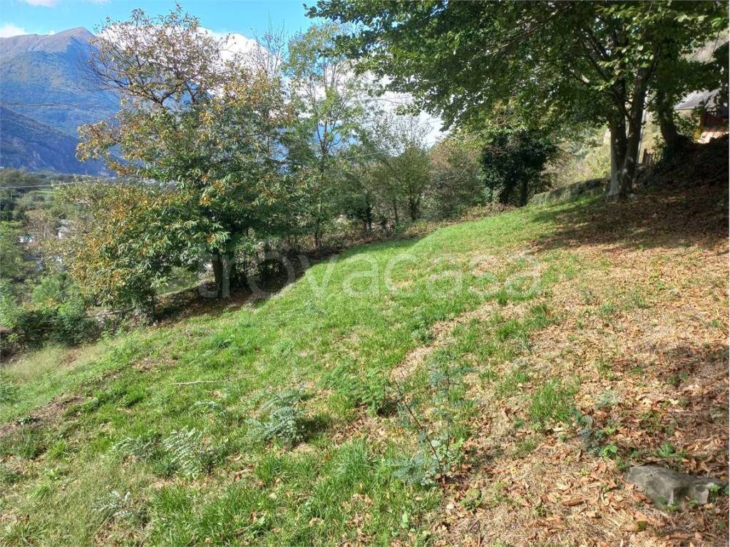 immagine annuncio 7 di 9