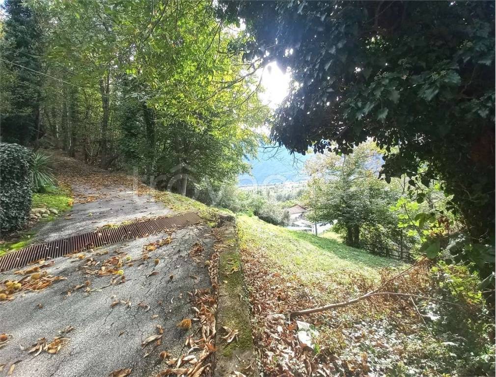 immagine annuncio 8 di 9