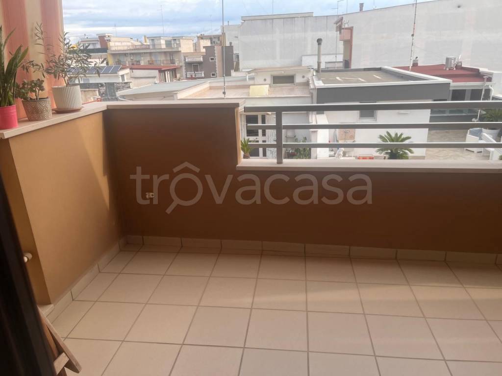 immagine annuncio 4 di 6