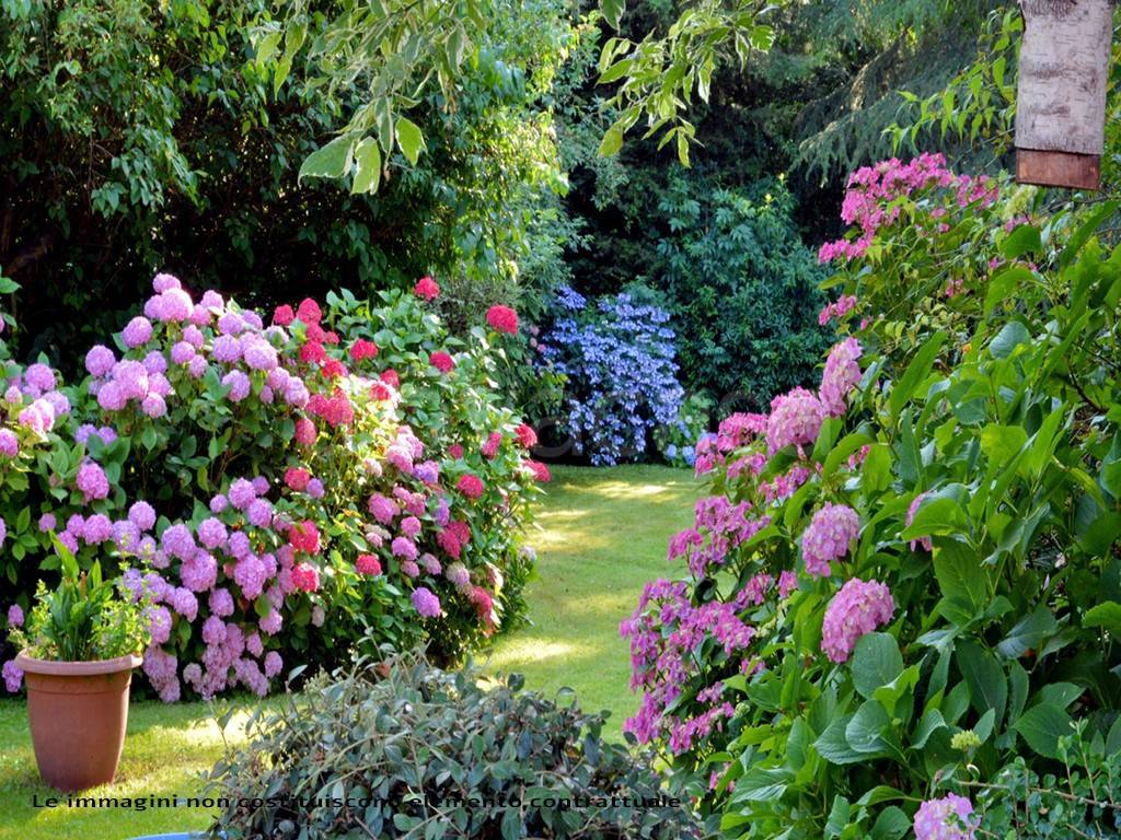 immagine annuncio 8 di 9