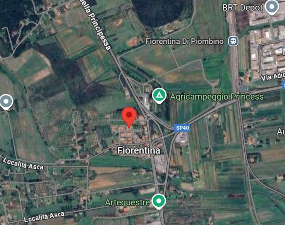 immagine annuncio 5 di 13
