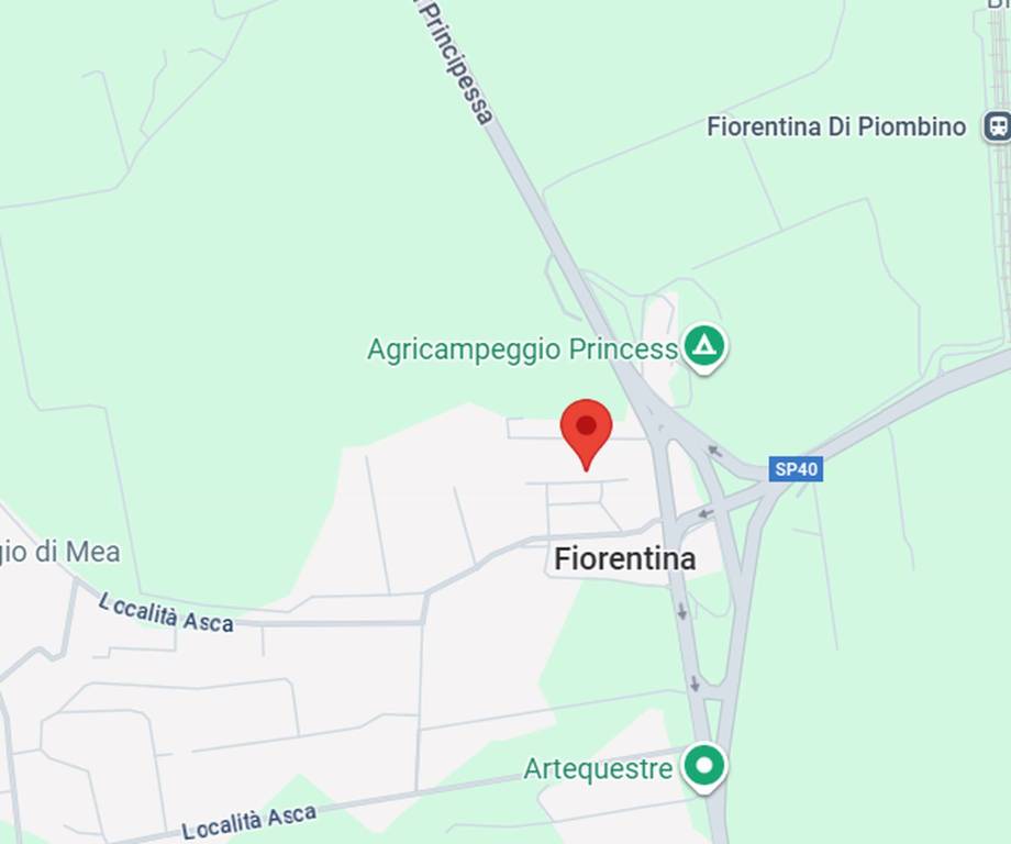 immagine annuncio 8 di 13