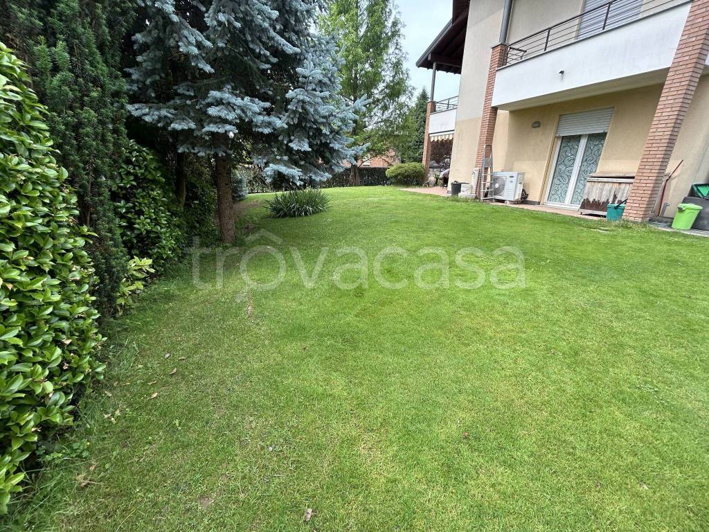 immagine annuncio 6 di 15