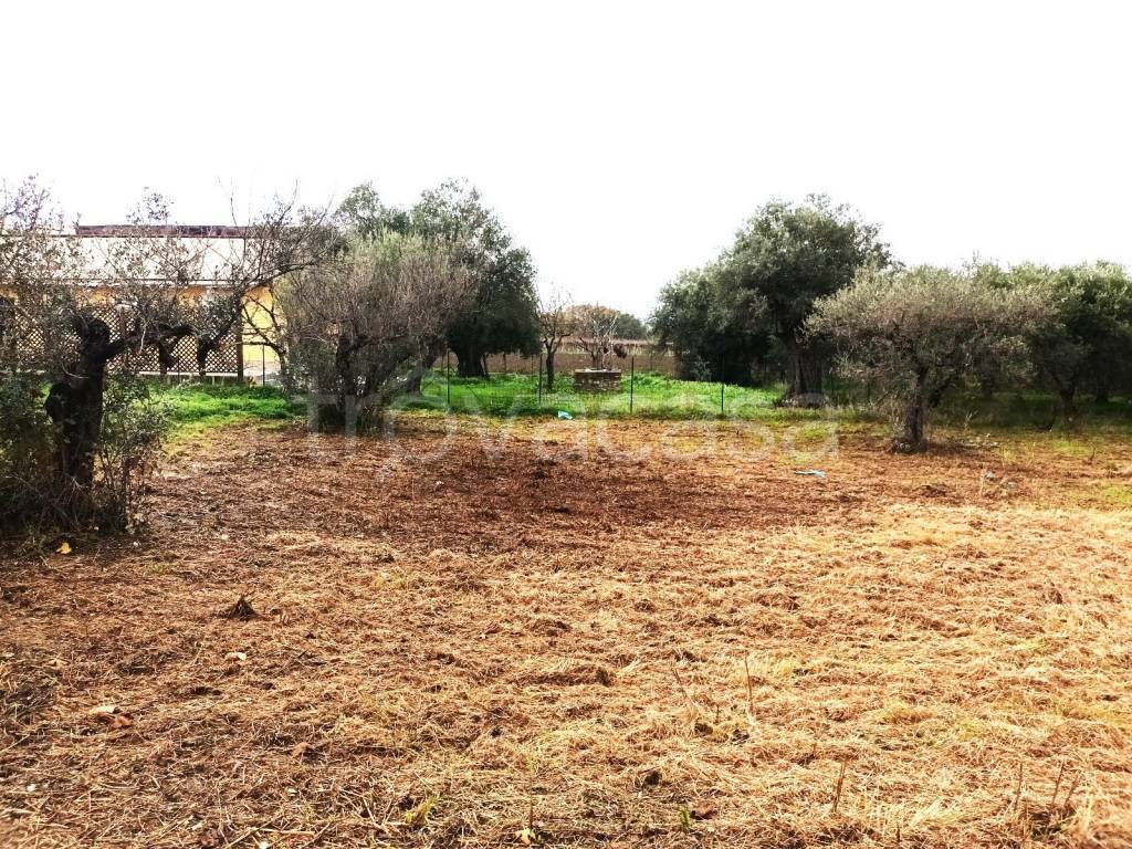 immagine annuncio 1 di 7