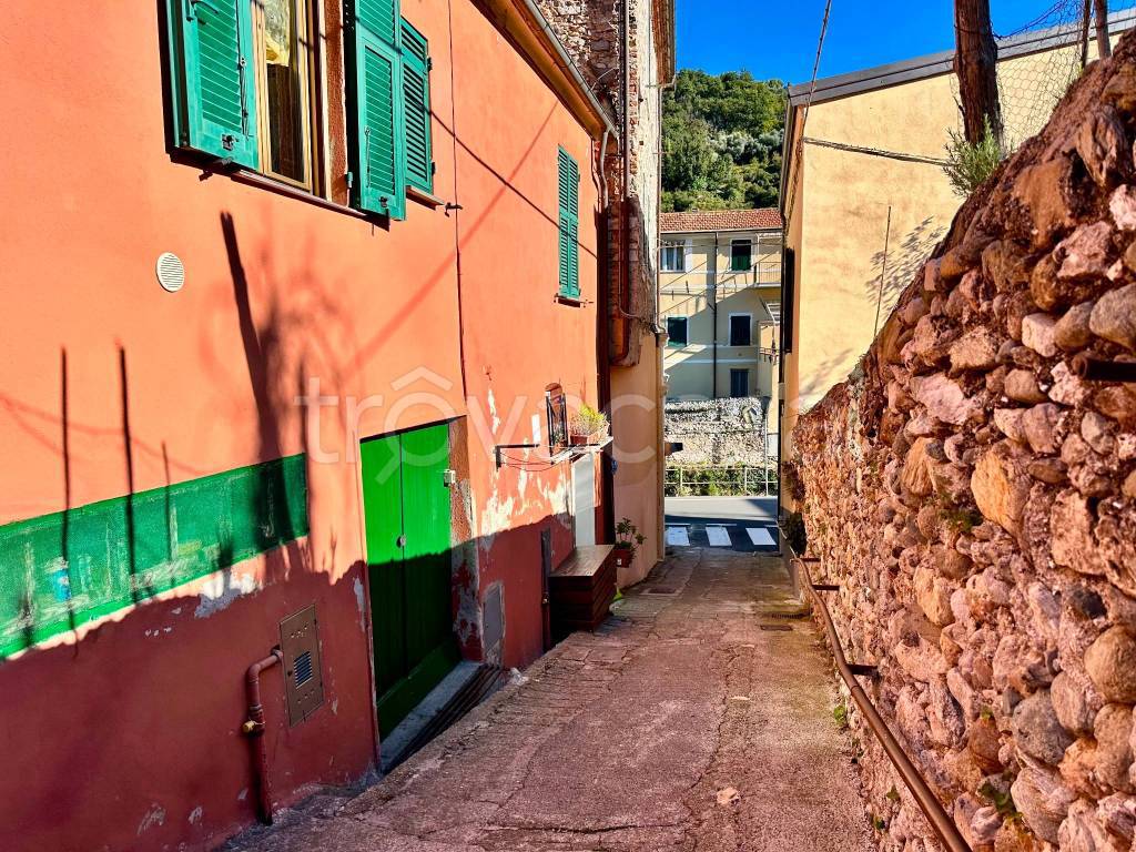 immagine annuncio 11 di 14