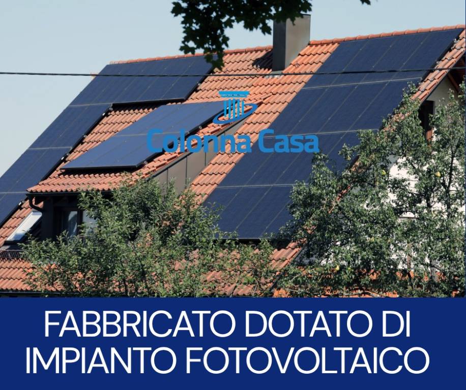 immagine annuncio 4 di 7