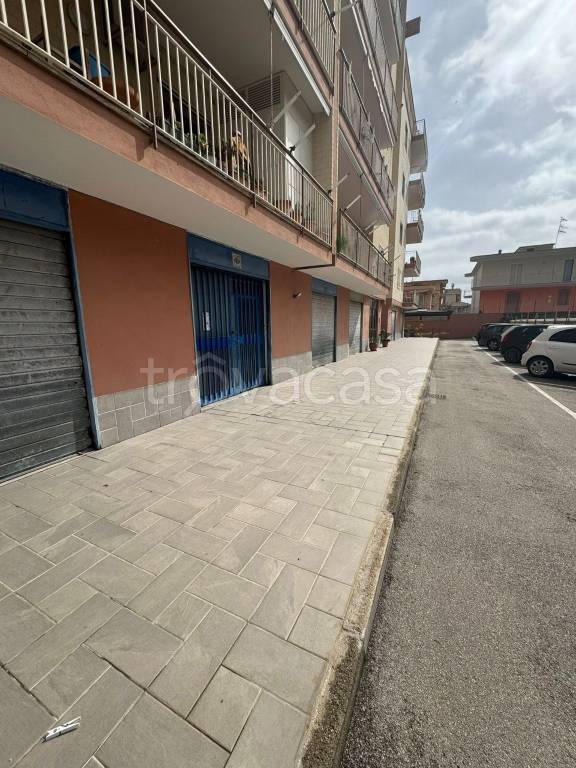 immagine annuncio 7 di 8