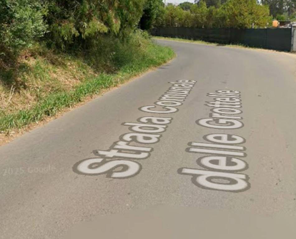 immagine annuncio 11 di 14