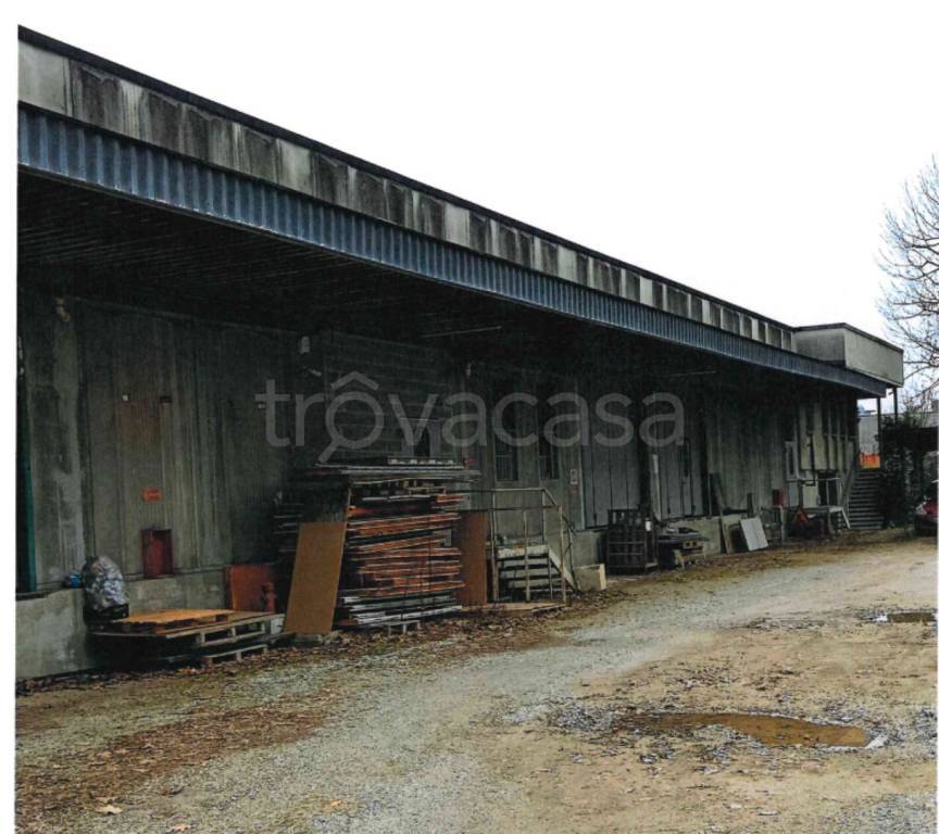 immagine annuncio 11 di 15