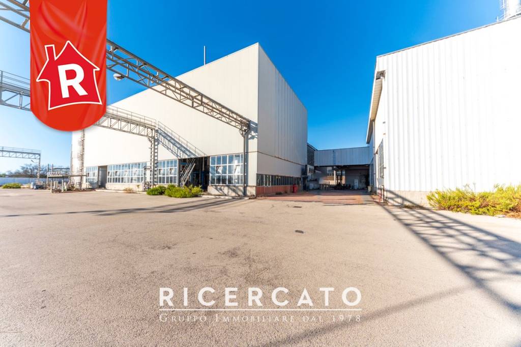 immagine annuncio 9 di 11