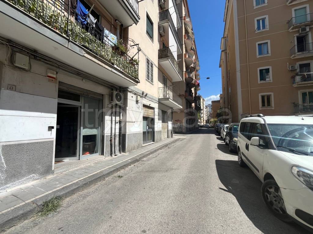 immagine annuncio 7 di 9