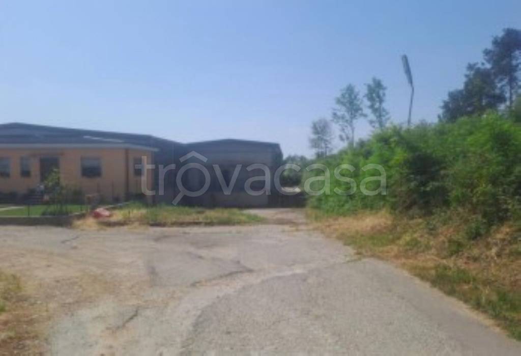 immagine annuncio 2 di 11