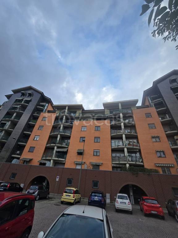 immagine annuncio 1 di 15