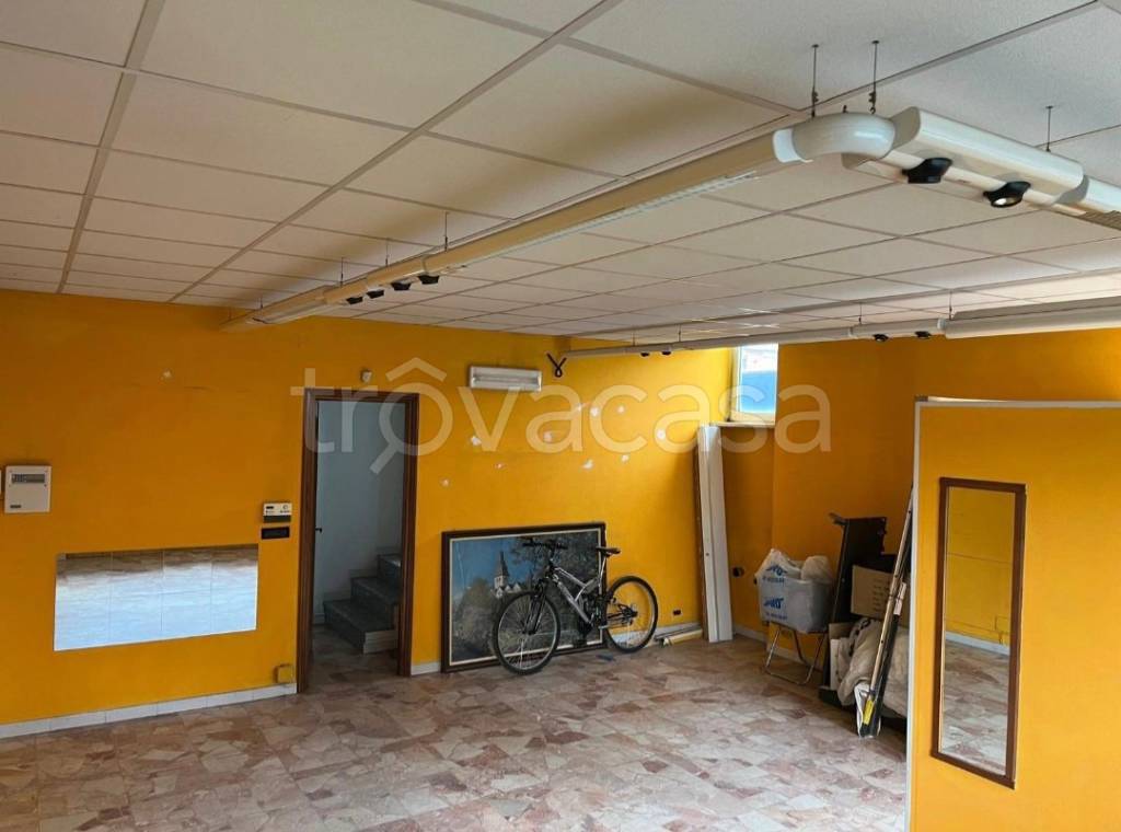 immagine annuncio 1 di 6