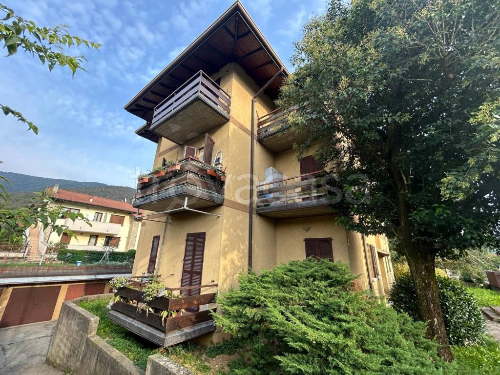 immagine annuncio 12 di 14