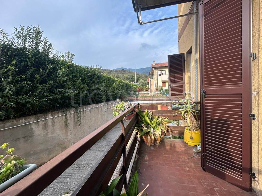 immagine annuncio 9 di 12