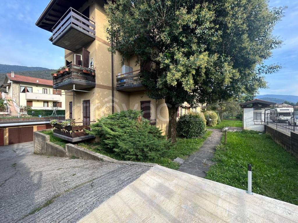 immagine annuncio 11 di 12