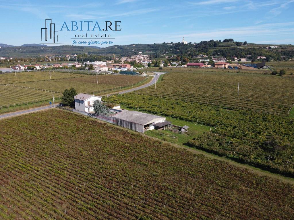 immagine annuncio 0 di 12