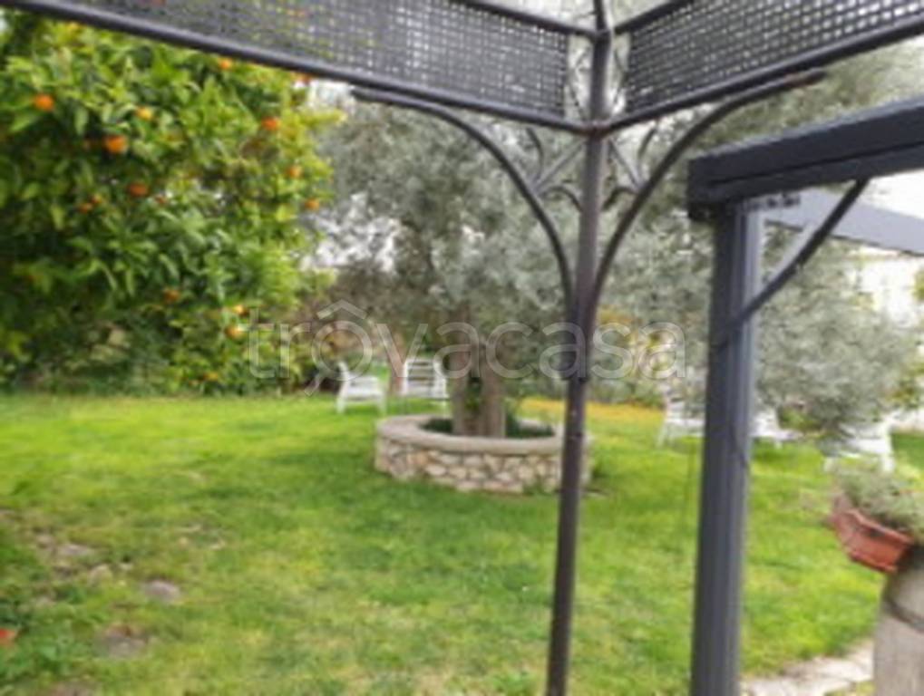 immagine annuncio 4 di 13