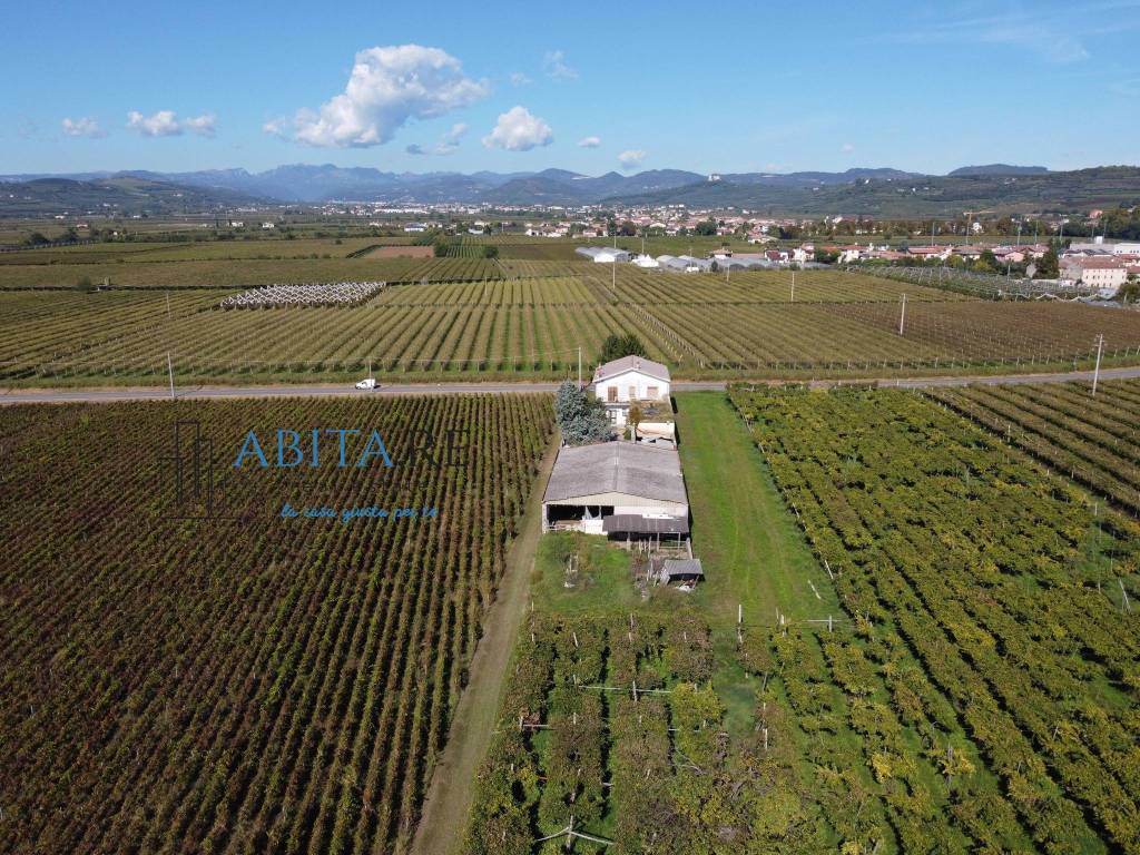 immagine annuncio 3 di 12