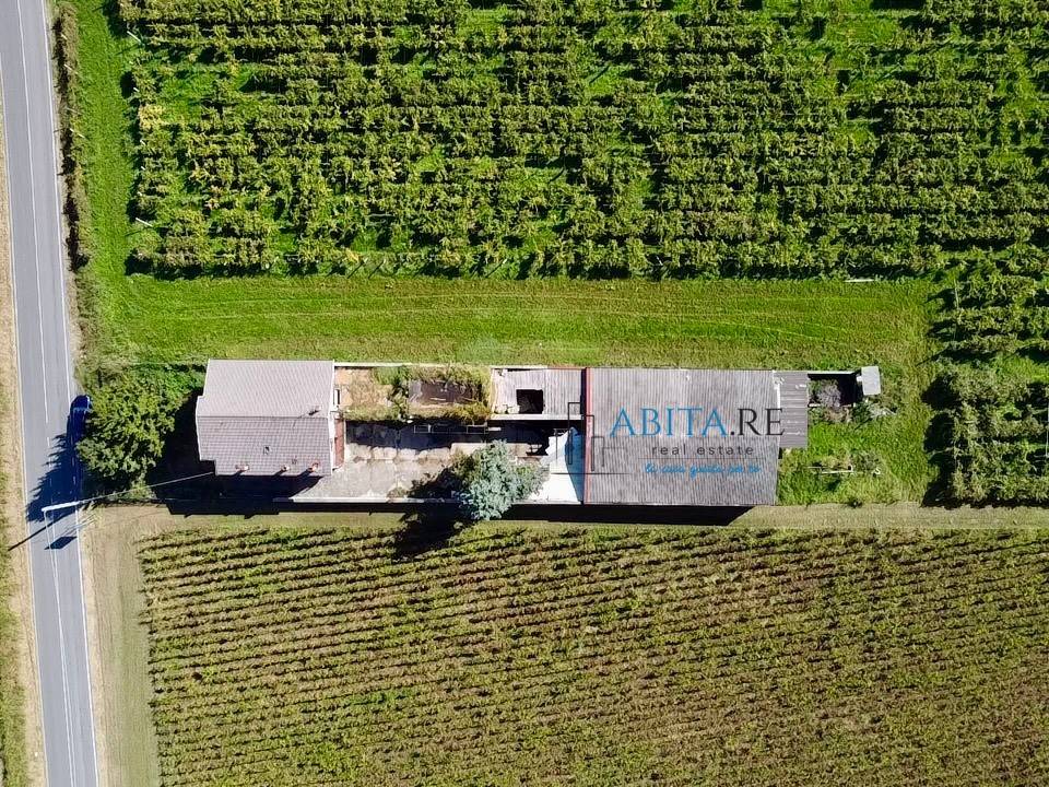 immagine annuncio 4 di 12