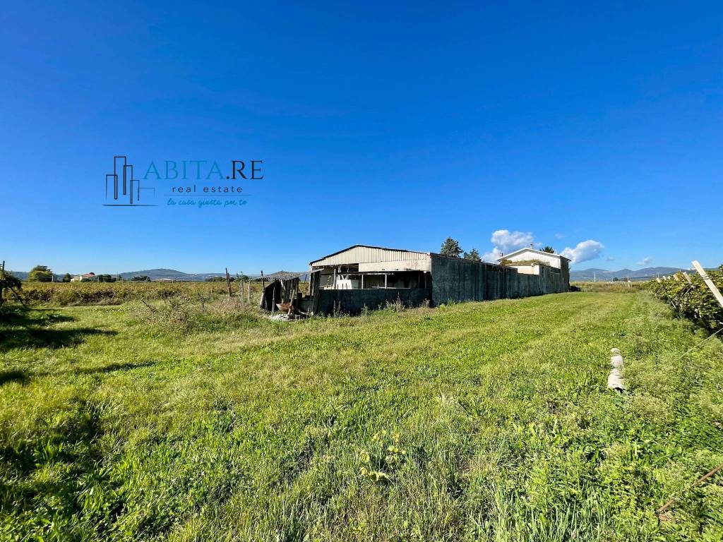 immagine annuncio 7 di 12