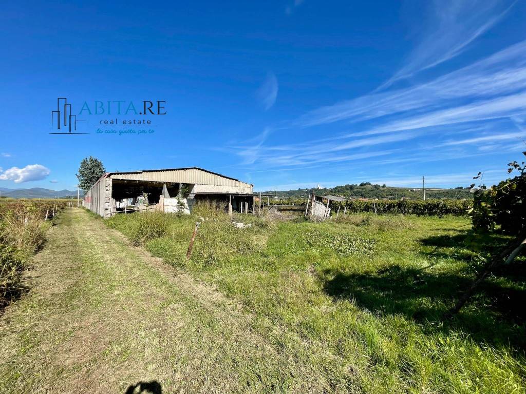 immagine annuncio 8 di 12