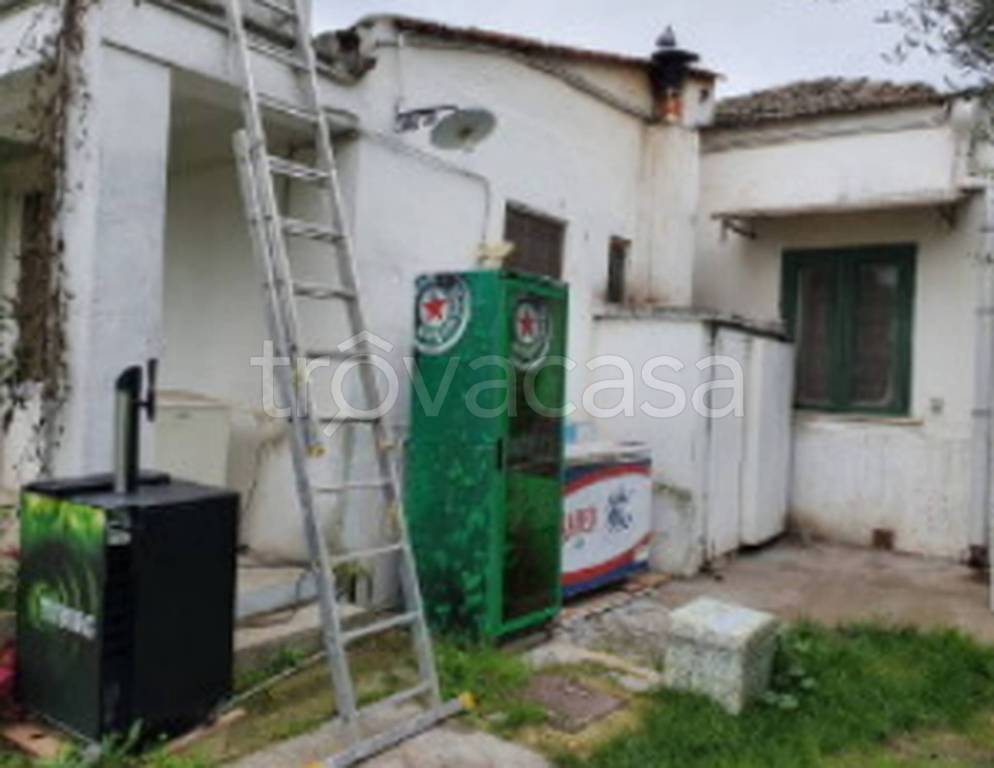 immagine annuncio 10 di 13